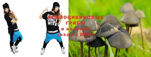 стафф Гусиноозёрск