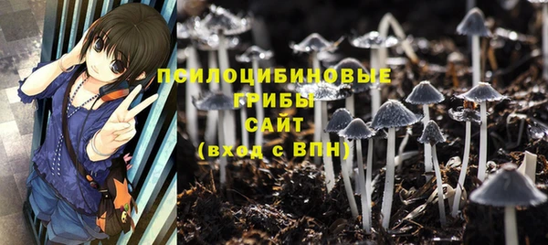 стафф Гусиноозёрск