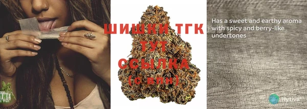 стафф Гусиноозёрск