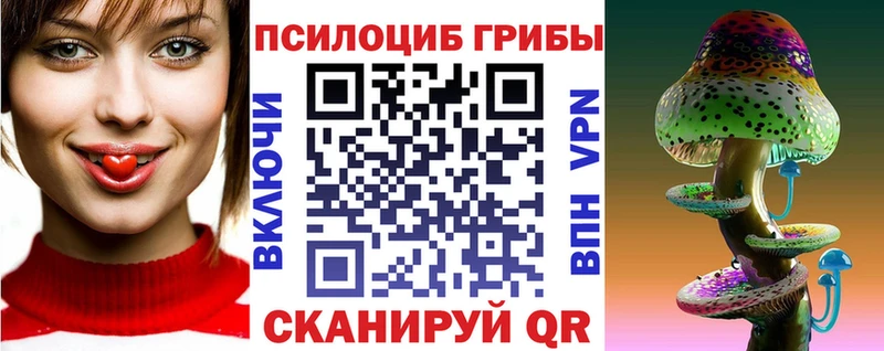 Галлюциногенные грибы Psilocybe  где купить наркотик  Могоча 